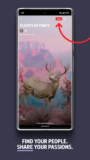 Descarga Flipboard: Tu Revista Social y Noticias – Última Versión - Screenshot 5