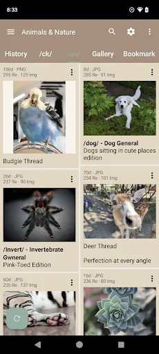 Descarga Read Chan APK – El mejor lector de 4chan para Android - Screenshot 1