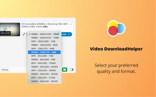 Video DownloadHelper: Descarga Videos de la Web Fácil y Rápido - Screenshot 2