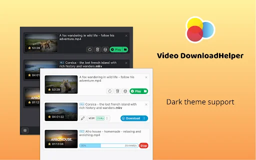 Video DownloadHelper: Descarga Videos de la Web Fácil y Rápido - Screenshot 3