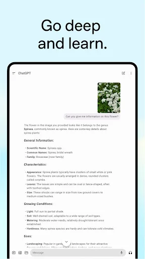 Descarga ChatGPT para Android: Tu Asistente IA Inteligente - Screenshot 16