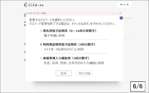 Descargar Extensión Myna Portal – Acceso a Servicios Digitales - Screenshot 6