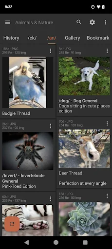 Descarga Read Chan APK – El mejor lector de 4chan para Android - Screenshot 2