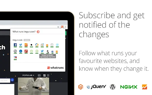 WhatRuns: Descubre qué tecnologías usa cualquier sitio web hoy - Screenshot 3