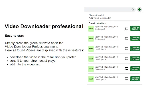 Video Downloader Professional – Descarga Videos Fácilmente - Screenshot 1