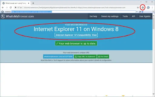 IE Tab para Chrome: Visualiza sitios web antiguos fácilmente - Screenshot 2