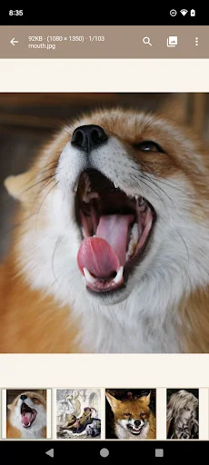 Descarga Read Chan APK – El mejor lector de 4chan para Android - Screenshot 5