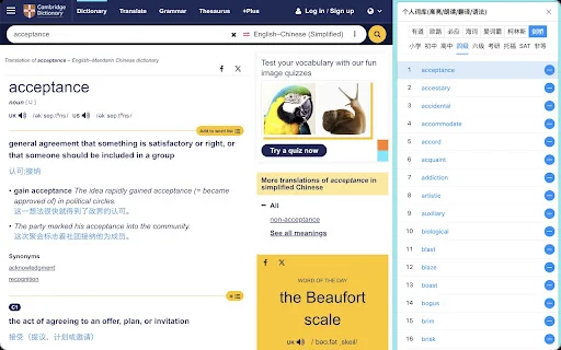 Personal Vocab: Aprende Inglés con Resaltado y Anki Automático - Screenshot 4