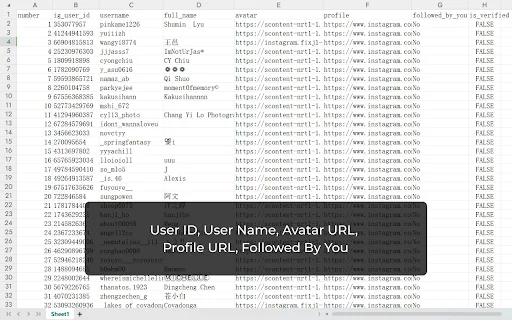IG Followers Exporter: Exporta tus seguidores a Excel y CSV - Screenshot 3