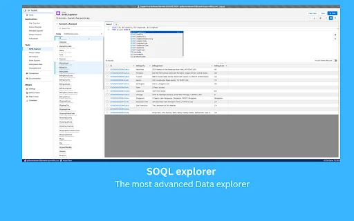 Salesforce Toolkit: Potencia tu Productividad en Salesforce - Screenshot 2