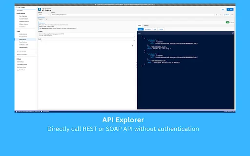 Salesforce Toolkit: Potencia tu Productividad en Salesforce - Screenshot 3